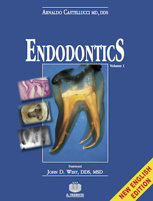 Download Endodontics Vol. 1 - Arnaldo Castellucci