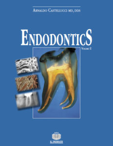 Download Arnaldo Castellucci Endodontics volume 2